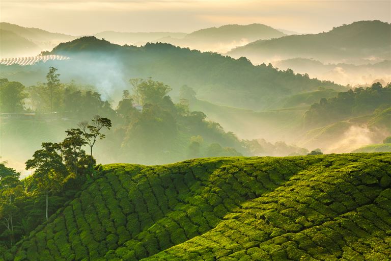 Malaysia Kaleidoskop ©blackcatimaging/istock